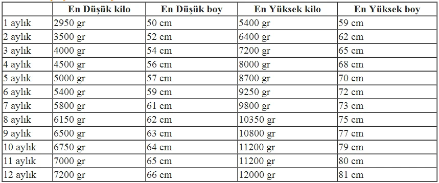 Ekran Alıntısı1